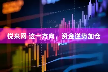 悦来网 这一方向，资金逆势加仓